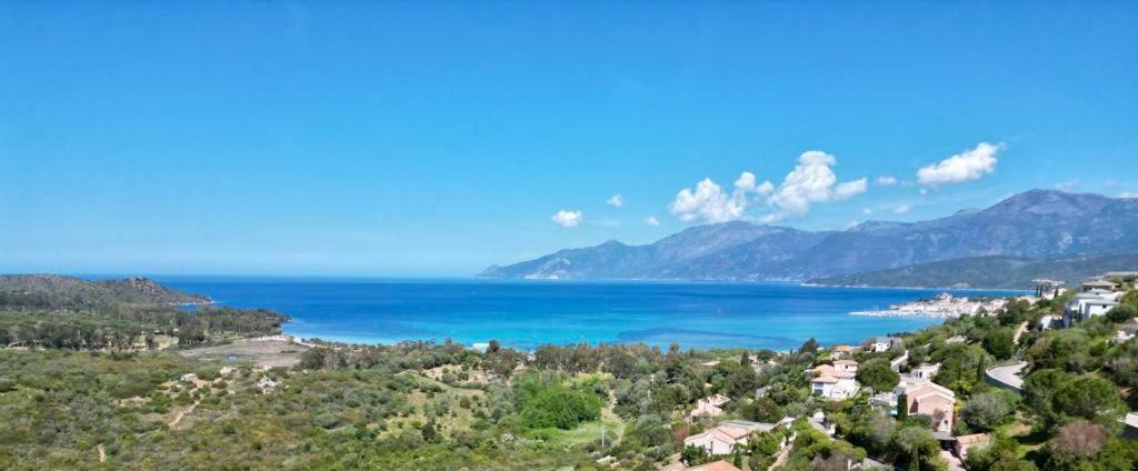 Studio, Vue Sur Mer Et Montagne Saint-Florent  Εξωτερικό φωτογραφία