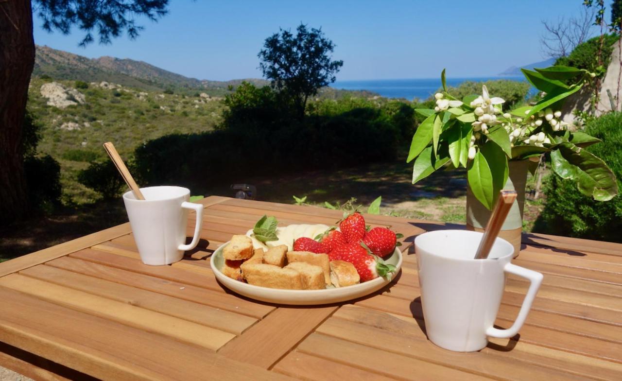 Studio, Vue Sur Mer Et Montagne Saint-Florent  Εξωτερικό φωτογραφία
