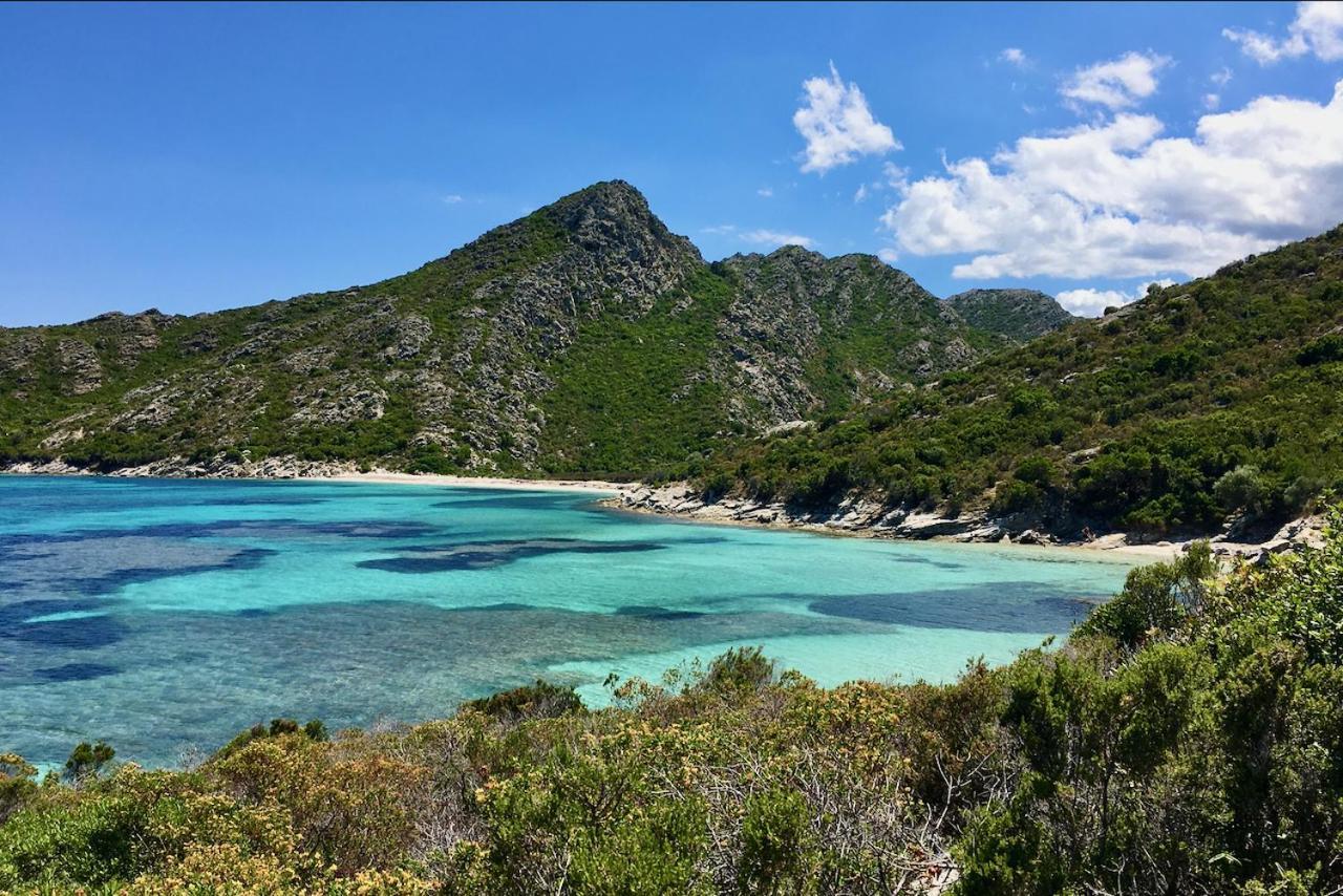 Studio, Vue Sur Mer Et Montagne Saint-Florent  Εξωτερικό φωτογραφία
