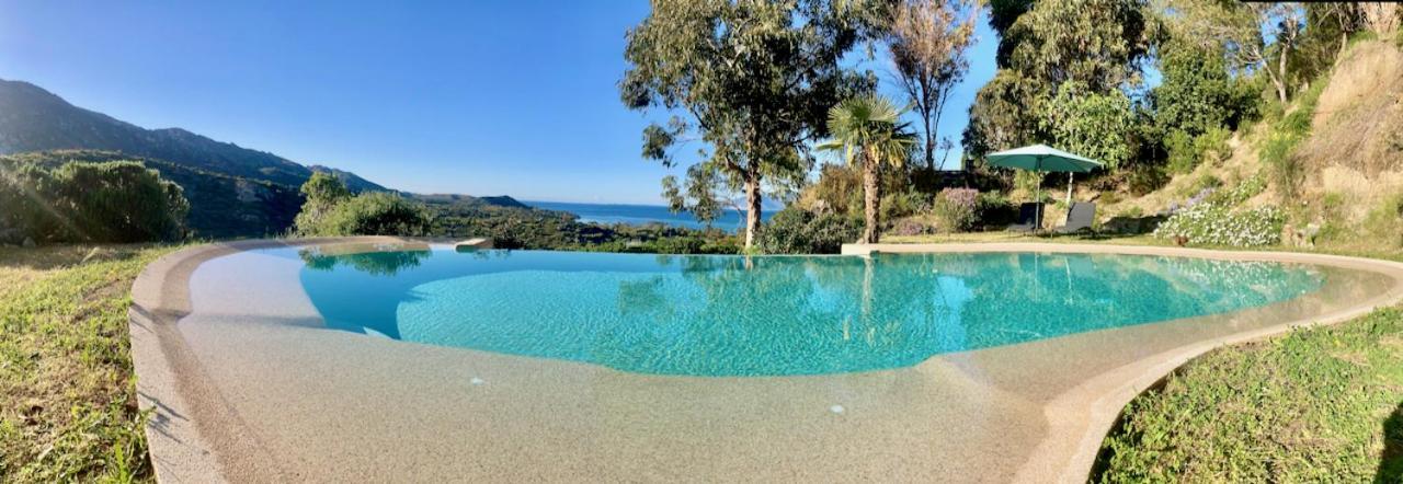 Studio, Vue Sur Mer Et Montagne Saint-Florent  Εξωτερικό φωτογραφία