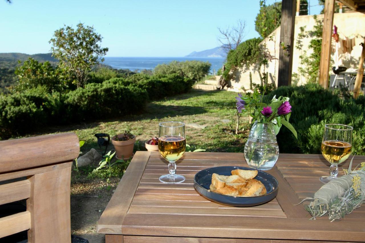 Studio, Vue Sur Mer Et Montagne Saint-Florent  Εξωτερικό φωτογραφία